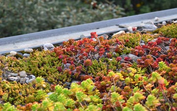the cost of Little Thetford green roof installation