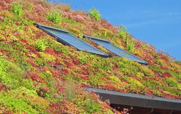 Little Thetford living roof systems